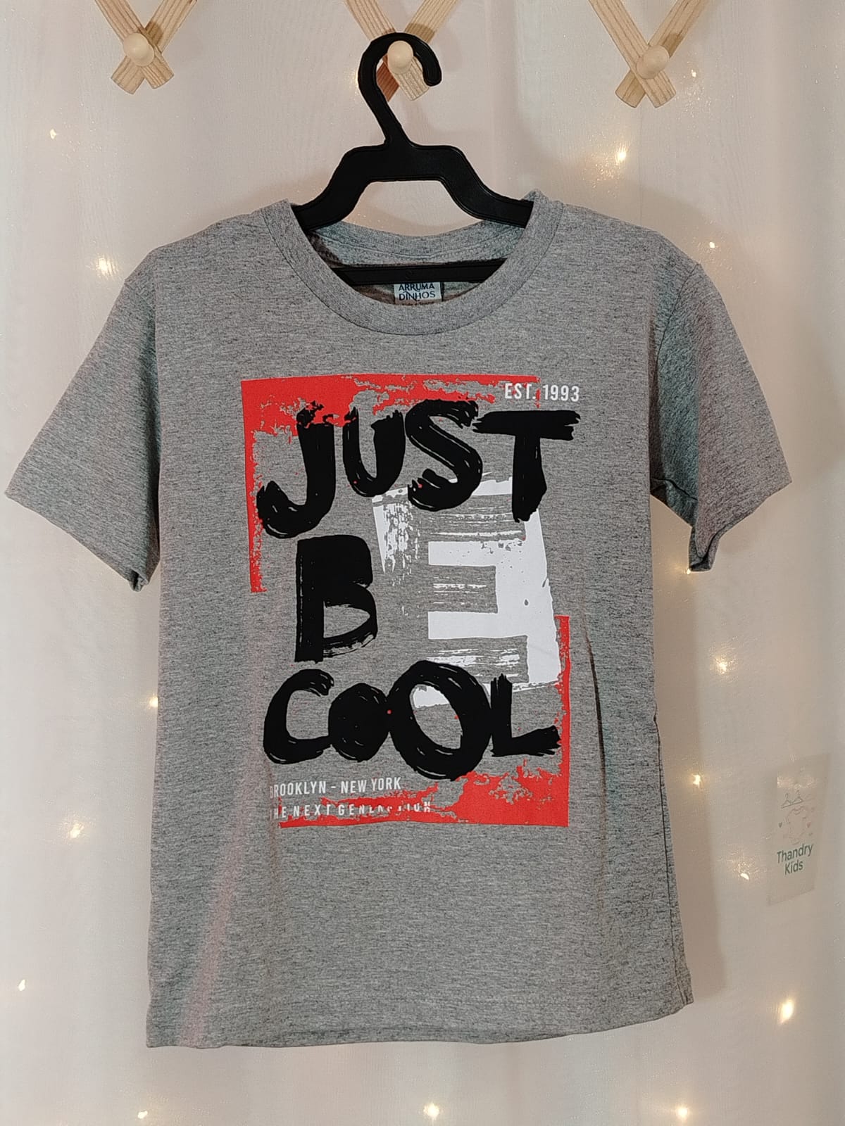 Camiseta Menino 6 anos– 41 Cinza Just Be Cool - Imagem 2